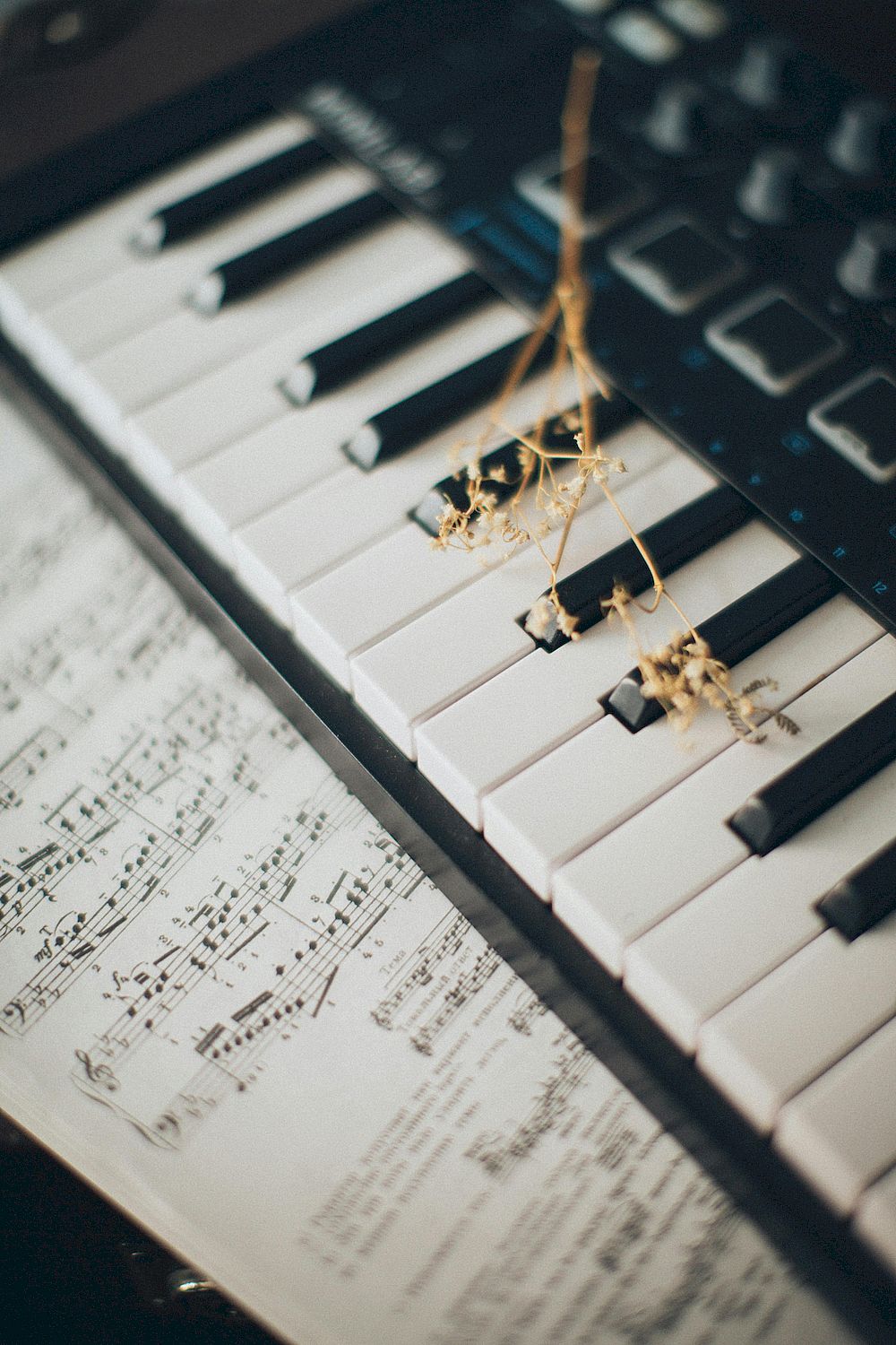 Stubenmusik